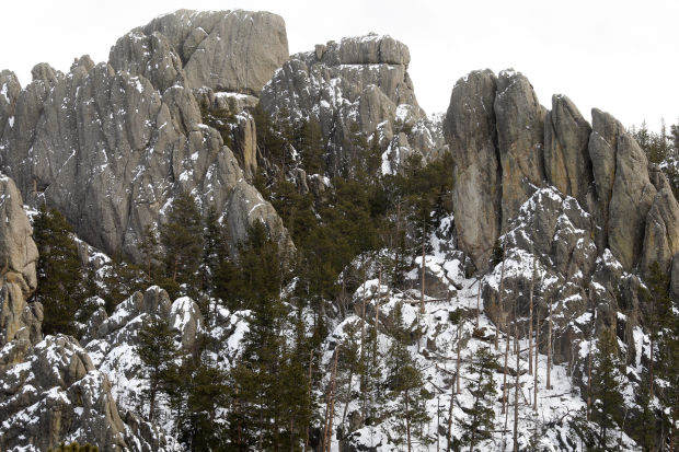 030414-nws-wildart004.jpg